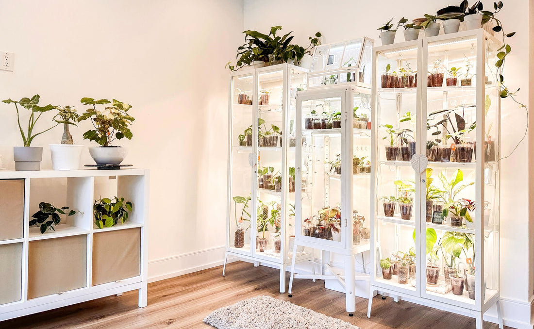 From Props to Plants: The Story Behind Our Rebrand 🌿✨